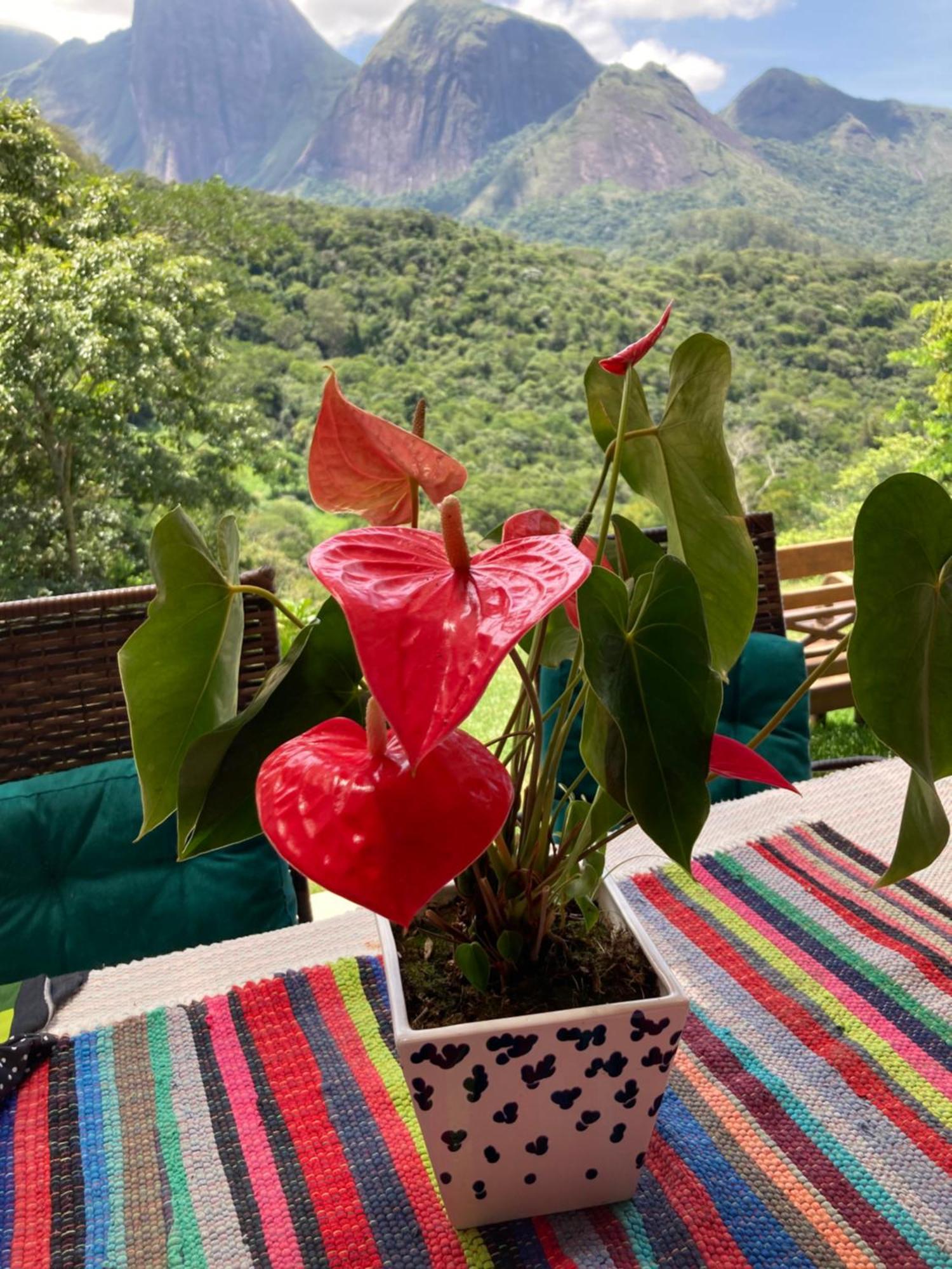 A Cabana Mais Bucolica De Araras Petrópolis Zewnętrze zdjęcie